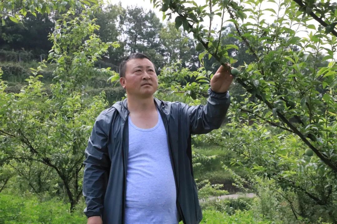 86cd3185d4c1dc70d086593e39e259b4.jpg 86cd3185d4c1dc70d086593e39e259b4.jpg