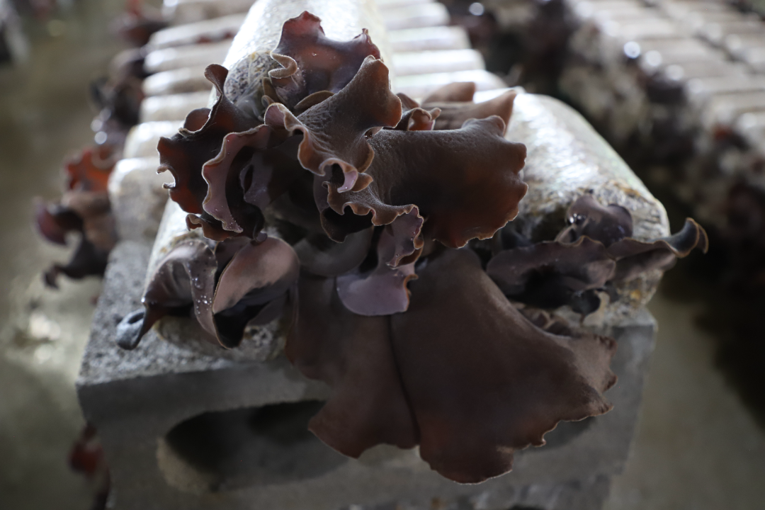 c57d79c9805da70b9369a295ec050f27.png c57d79c9805da70b9369a295ec050f27.png