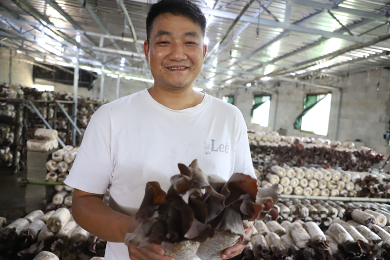 8ee909493d9fee5c53c8bd189970fb2c.png 8ee909493d9fee5c53c8bd189970fb2c.png