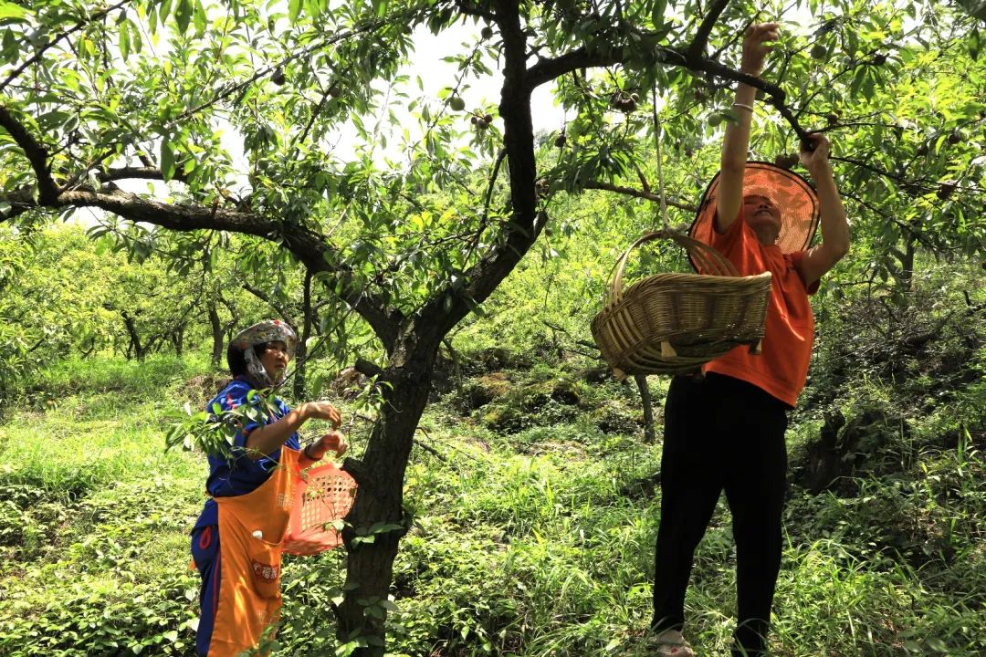 4dd1d6ce04a9f238a3580d2ea51018d9.jpg 4dd1d6ce04a9f238a3580d2ea51018d9.jpg