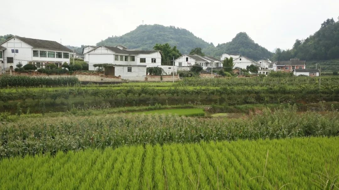 1645b738444e71f460f2cdfa11888d78.jpg 1645b738444e71f460f2cdfa11888d78.jpg