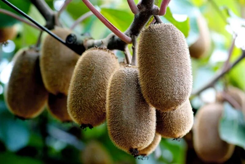 b2b055f967607a24fa3f39b5de3c2004.jpg b2b055f967607a24fa3f39b5de3c2004.jpg