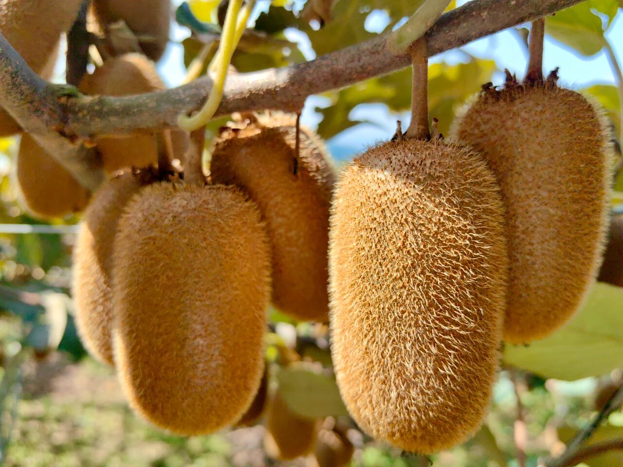 713f64ef0d4bf8afdad3594cbde3af18.jpg 713f64ef0d4bf8afdad3594cbde3af18.jpg