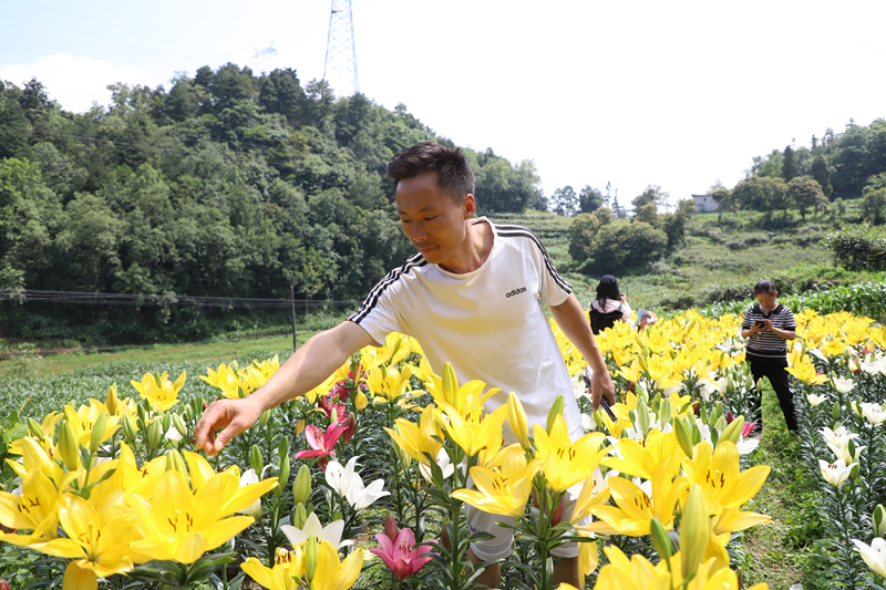 33f2e3260034c4b42dbff3637223f874.png 33f2e3260034c4b42dbff3637223f874.png