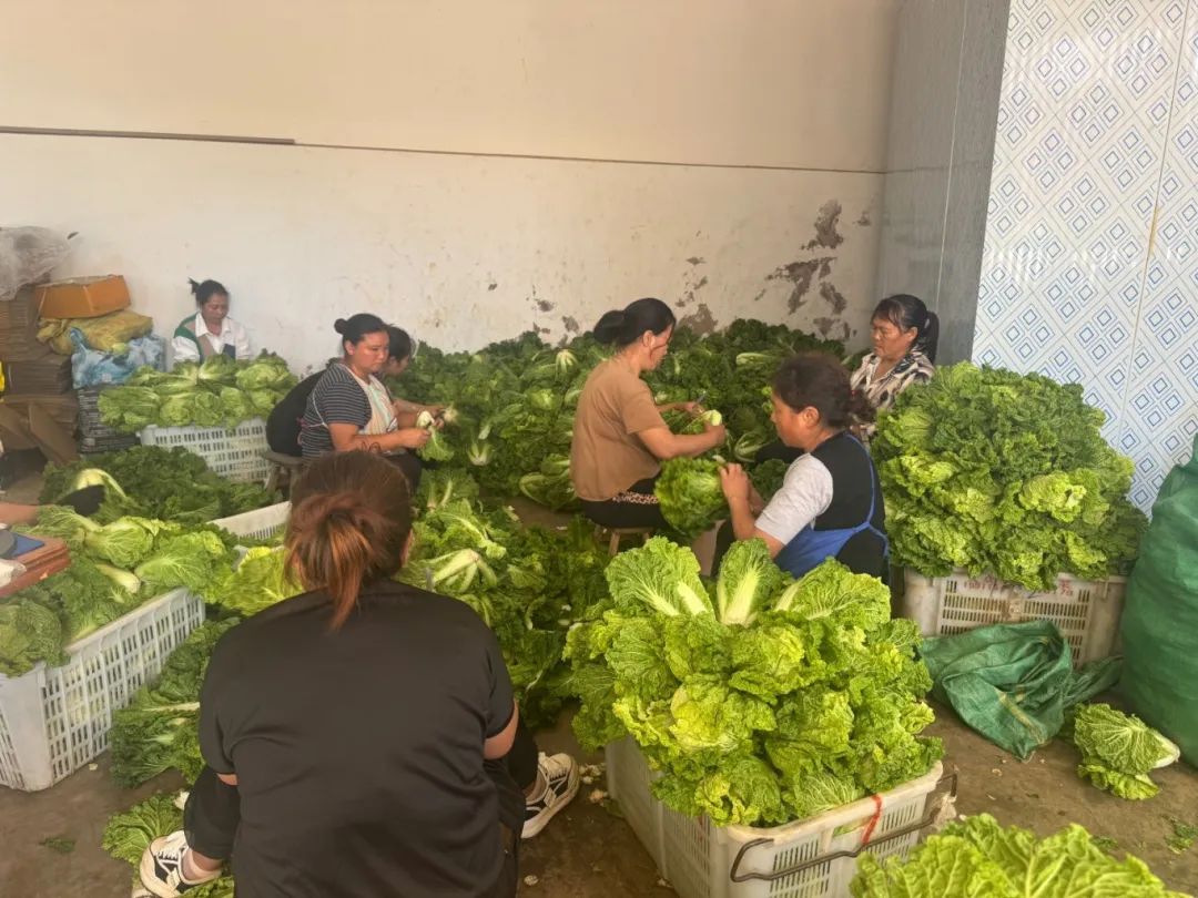 89c1a8d0d96e484bab7561edb17db1e6.jpg 89c1a8d0d96e484bab7561edb17db1e6.jpg