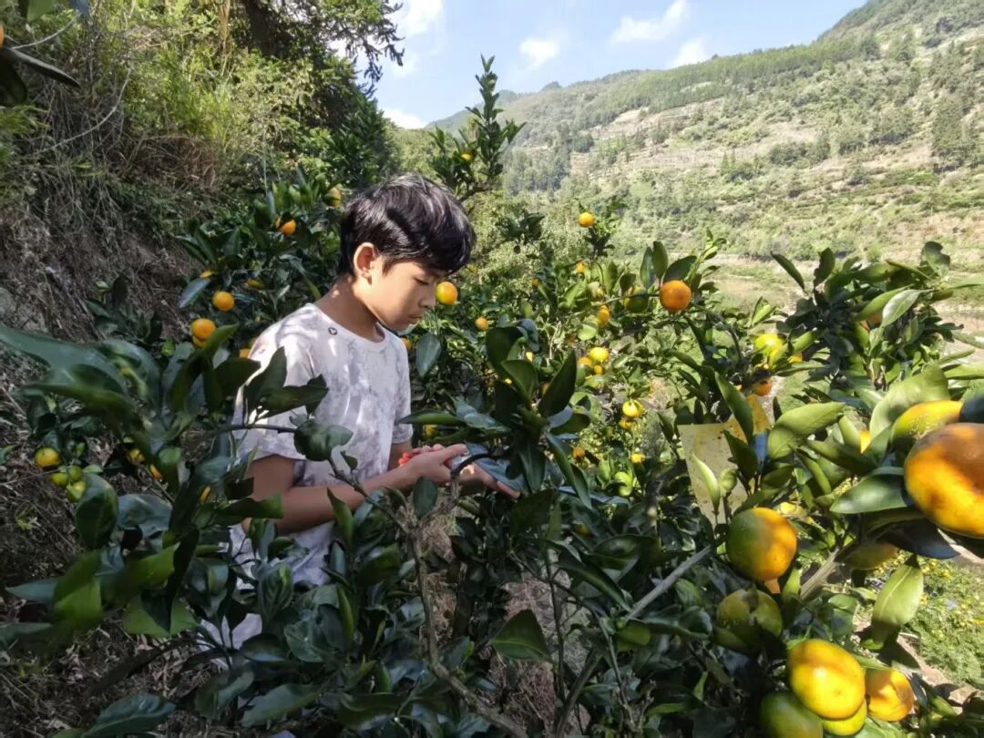 7b1767e53c9ca89d8f24d0207b1e612f.jpg 7b1767e53c9ca89d8f24d0207b1e612f.jpg