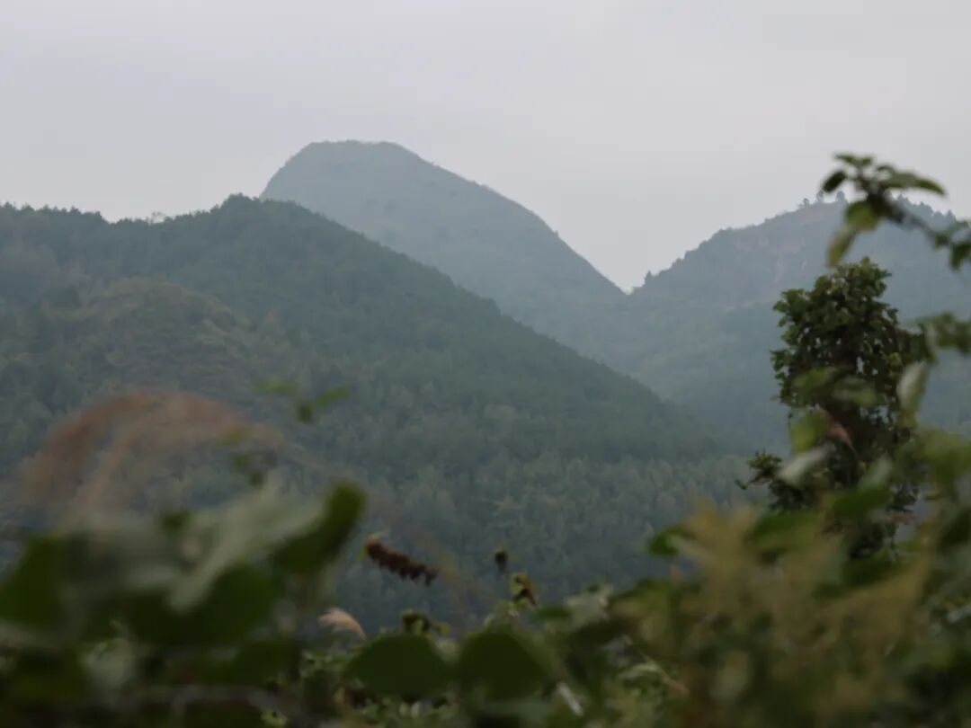 52209ad369f9c6eb0a5e85ea77f1a655.jpg 52209ad369f9c6eb0a5e85ea77f1a655.jpg