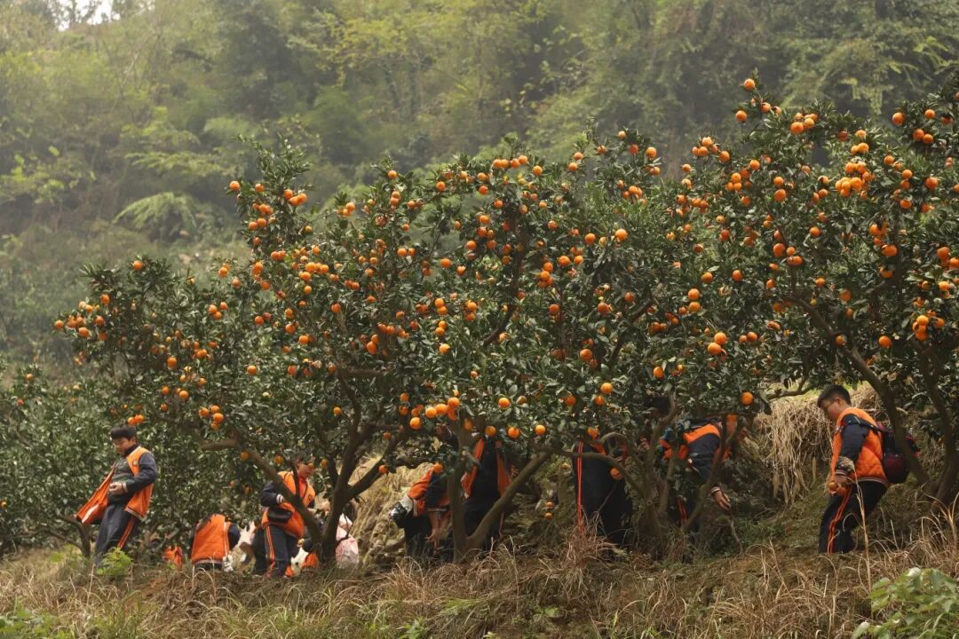 e782aacb2256b9b325858536fc455731.jpg e782aacb2256b9b325858536fc455731.jpg