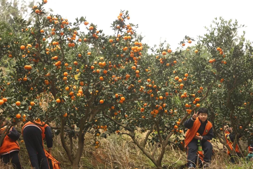 01fe433c85ebc69c49f4e24f29e32302.jpg 01fe433c85ebc69c49f4e24f29e32302.jpg