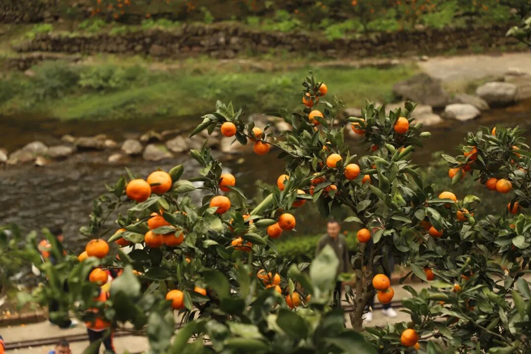 ccb19ce589e96e572947558c95242810.jpg ccb19ce589e96e572947558c95242810.jpg